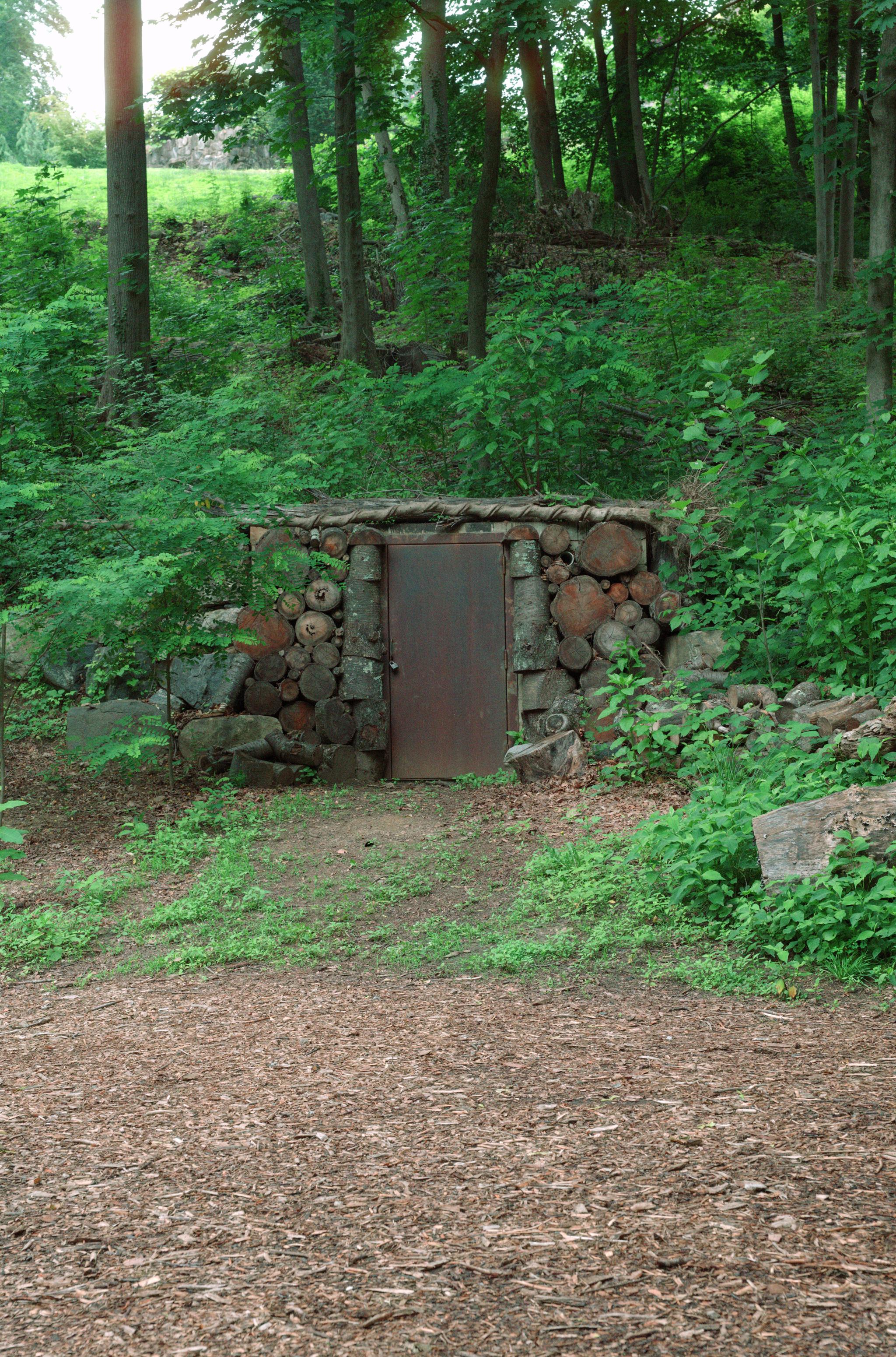c2_L1011285.jpg